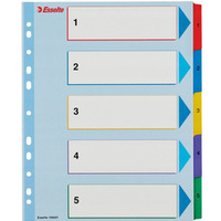 Przekadki kartonowe MYLAR A4 MAXI 1-5 ESSELTE 100207