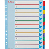 Przekadki kartonowe MYLAR A4 MAXI 1-12 ESSELTE 100209