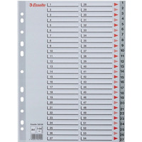 Przekadki plastikowe numeryczne A4 1-54 szare ESSELTE 100109