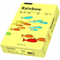 Papier ksero A4 160g RAINBOW R12 jasnoty 250ark 88042305