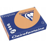 Papier ksero A4 80g TROPHEE brz wielbdzi XCA41879 CLAIREFONTAINE