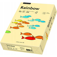 Papier ksero A4 160g RAINBOW R06 ko soniowa/chamois 250ark 88042283