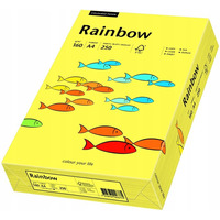 Papier ksero A4 160g RAINBOW R16 ty 250ark 88042351