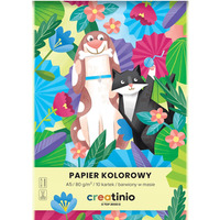 Zeszyt papierw kolorowych A5 10k 80g CREATINIO 400176683 TOP 2000